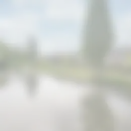 Foto #5 Kamer Merellaan Capelle aan den IJssel