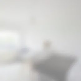 Kamer Foto #0 te huur bij Huurstunt