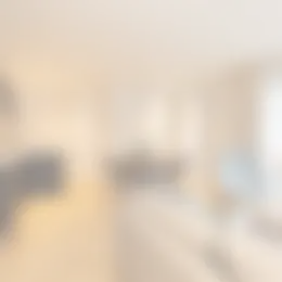 Foto #2 Appartement Molenstraat Den Haag