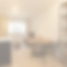 Foto #1 Appartement Molenstraat Den Haag