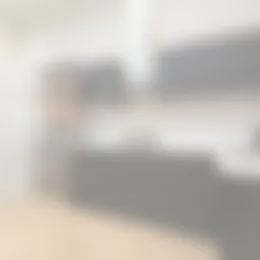 Foto #3 Appartement Molenstraat Den Haag