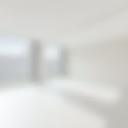 Appartement Foto #0 te huur bij Huurstunt