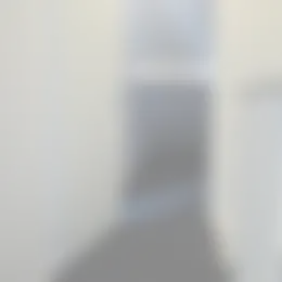 Foto #21 Huurwoning Beekgraafstraat Veghel