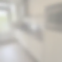 Appartement Foto #2 te huur bij Huurstunt