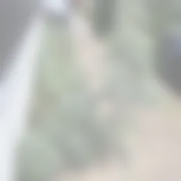 Foto #32 Huurwoning Luttelveld Deursen-Dennenburg