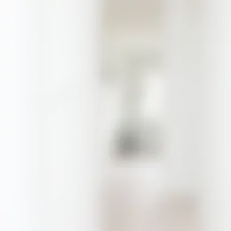 Foto #4 Appartement Jonckbloetlaan Eindhoven