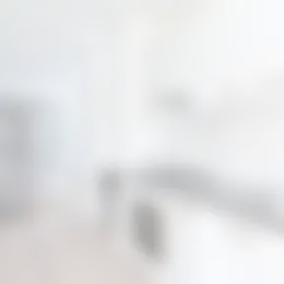 Appartement Foto #1 te huur bij Huurstunt