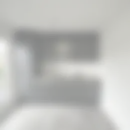 Foto #3 Appartement Rode Kruislaan Eindhoven