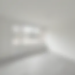 Foto #8 Appartement Rode Kruislaan Eindhoven