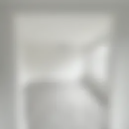 Foto #6 Appartement Rode Kruislaan Eindhoven