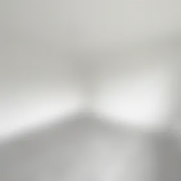 Foto #10 Appartement Rode Kruislaan Eindhoven