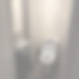 Foto #14 Appartement Paradijslaan Eindhoven