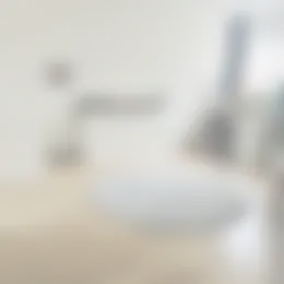 Foto #7 Huurwoning Dommelhoefstraat Eindhoven