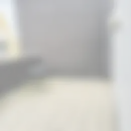 Foto #11 Huurwoning Dommelhoefstraat Eindhoven