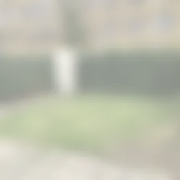 Foto #14 Huurwoning Dommelhoefstraat Eindhoven