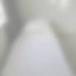 Foto #15 Huurwoning Zuiderzeelaan Eindhoven