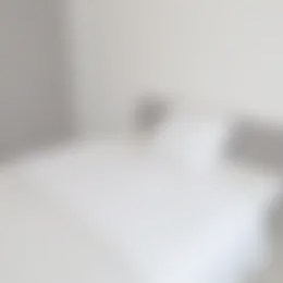 Foto #12 Huurwoning Zuiderzeelaan Eindhoven