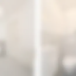 Appartement Foto #1 te huur bij Huurstunt