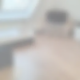 Studio Foto #0 te huur bij Huurstunt
