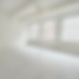 Foto #8 Appartement Jansstraat Haarlem