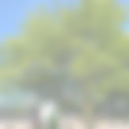 Huurwoning Foto #0 te huur bij Huurstunt