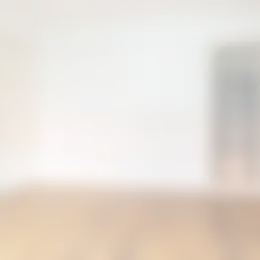 Foto #19 Appartement Van Diepenburchstraat Den Haag
