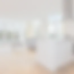 Appartement Foto #0 te huur bij Huurstunt