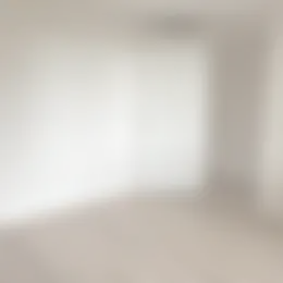 Foto #11 Appartement Halve Morgen Elst