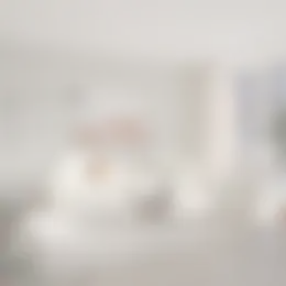 Appartement Foto #0 te huur bij Huurstunt