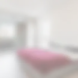 Foto #8 Appartement Marconilaan Eindhoven