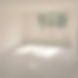 Appartement Foto #0 te huur bij Huurstunt