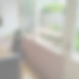 Foto #2 Kamer Iepenlaan Schagen