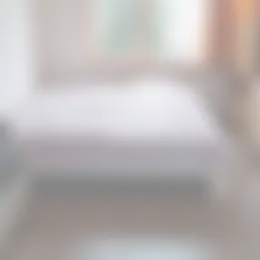 Appartement Foto #0 te huur bij Huurstunt