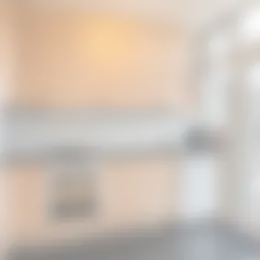 Foto #7 Appartement Professor Kamerlingh Onneslaan Schiedam