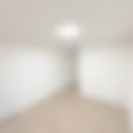 Foto #1 Kamer Venestraat Nijkerk
