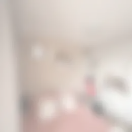 Kamer Foto #0 te huur bij Huurstunt