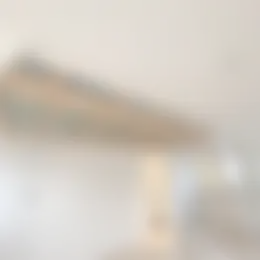 Kamer Foto #0 te huur bij Huurstunt
