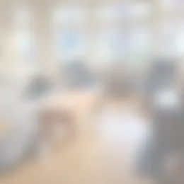 Foto #3 Kamer Julianastraat Koog aan de Zaan