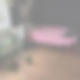 Kamer Foto #0 te huur bij Huurstunt