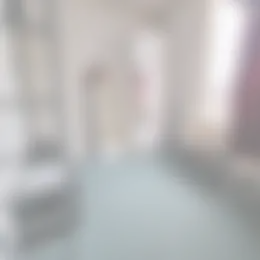 Foto #2 Kamer Schlegelstraat Den Haag