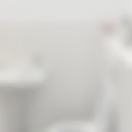 Kamer Foto #0 te huur bij Huurstunt