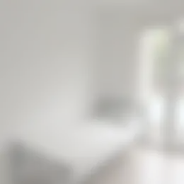 Foto #1 Appartement Roemer Visscherstraat Den Haag