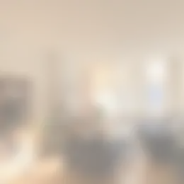 Foto #4 Kamer Burgemeester Meineszlaan Rotterdam