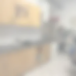 Kamer Foto #0 te huur bij Huurstunt