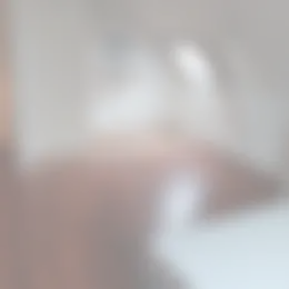 Kamer Foto #0 te huur bij Huurstunt