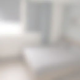 Foto #1 Kamer Schrijverspark Veenendaal