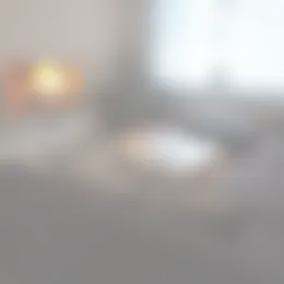 Kamer Foto #0 te huur bij Huurstunt