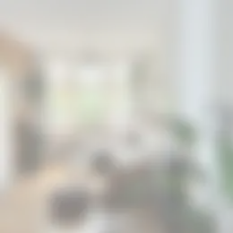 Appartement Foto #0 te huur bij Huurstunt
