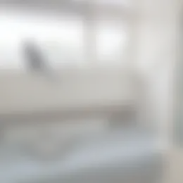 Kamer Foto #0 te huur bij Huurstunt