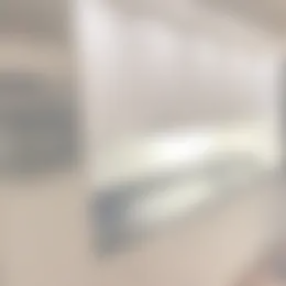 Kamer Foto #0 te huur bij Huurstunt